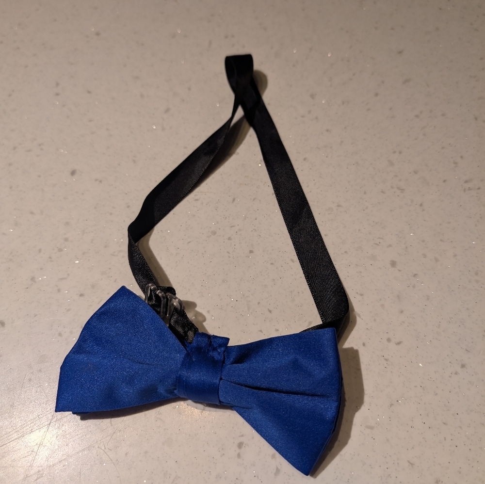 Blue bowtie with black band
